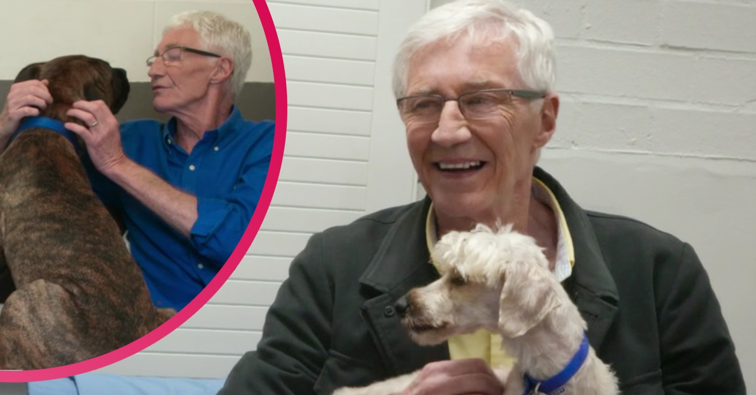 Paul O'Grady on For The Love Of Dogs