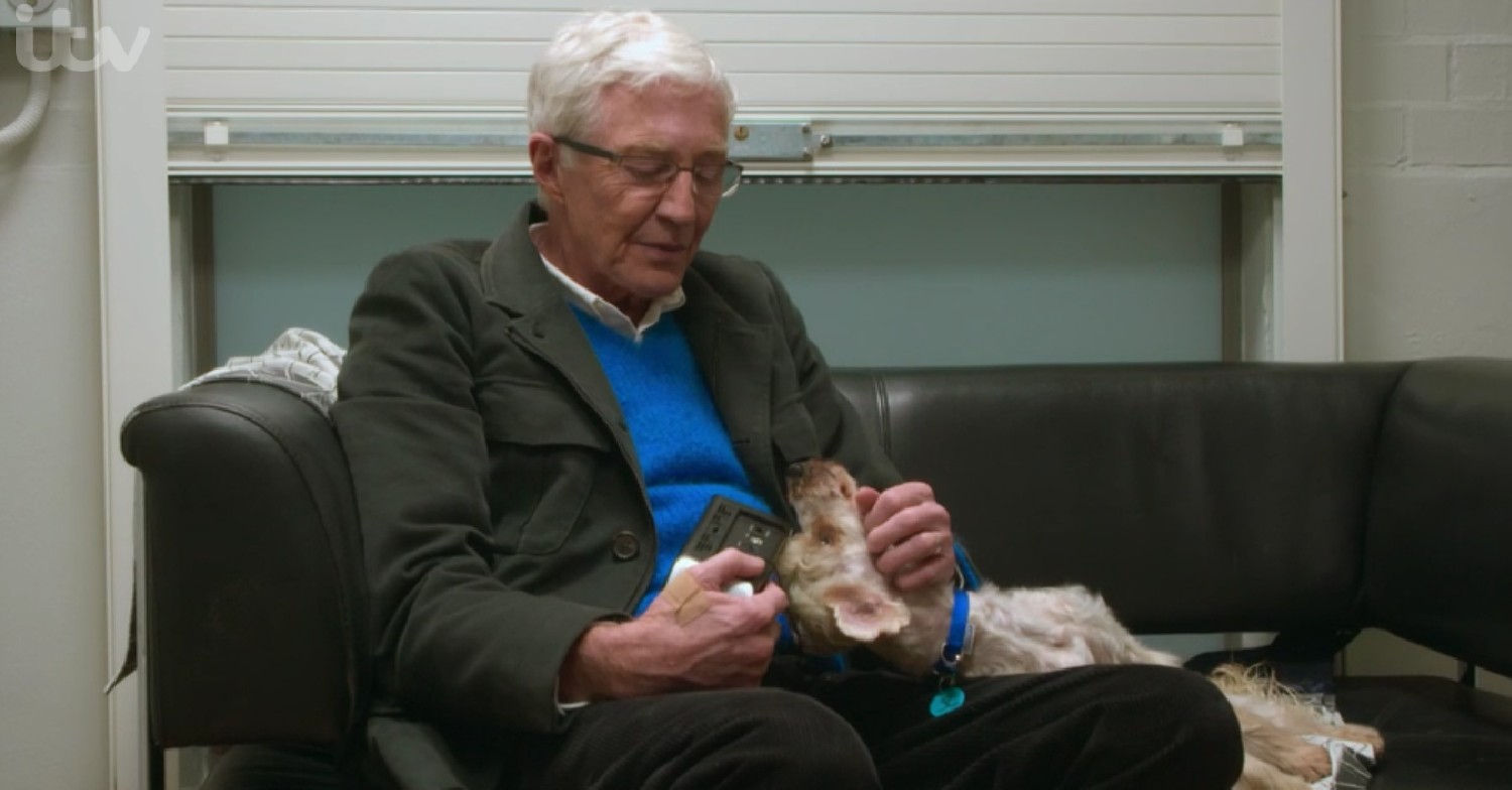 Paul O'Grady on For The Love Of Dogs