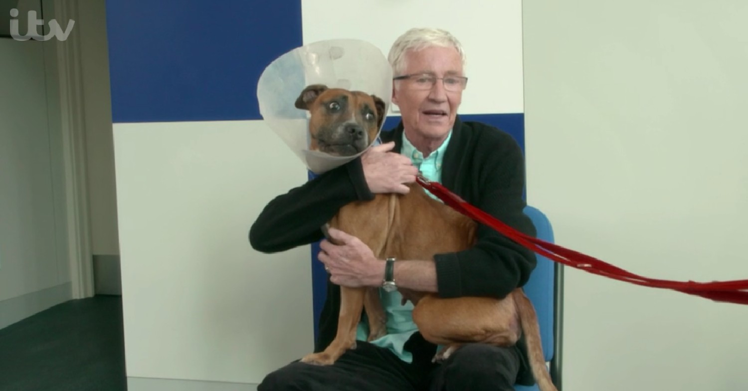 Paul O'Grady on For The Love Of Dogs