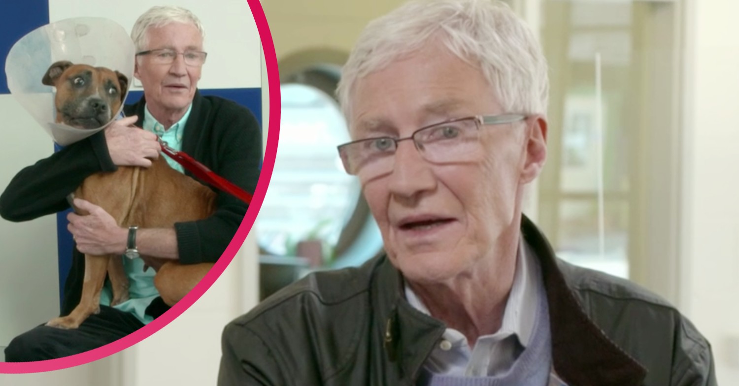 Paul O'Grady on For The Love Of Dogs