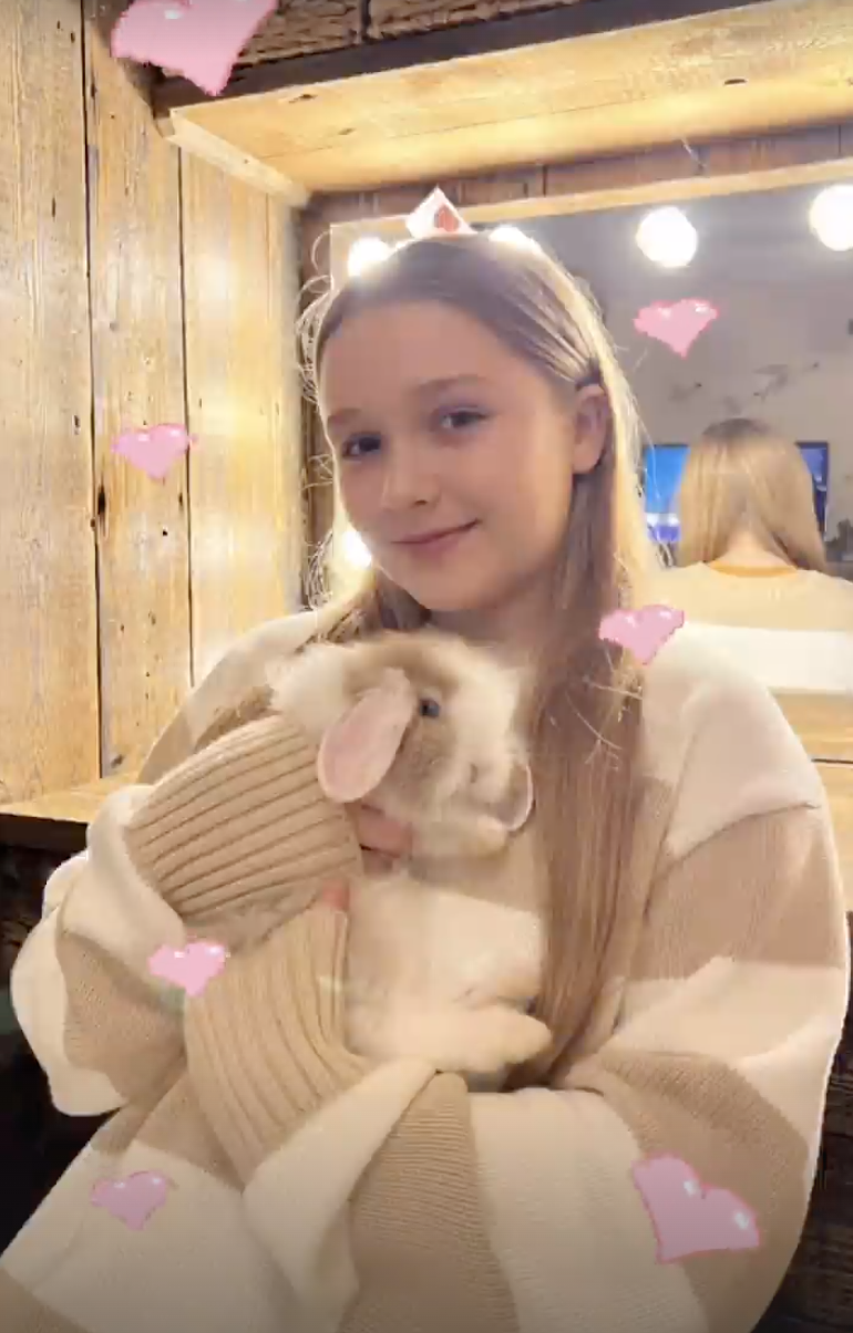 Harper Beckham and new pet bunny