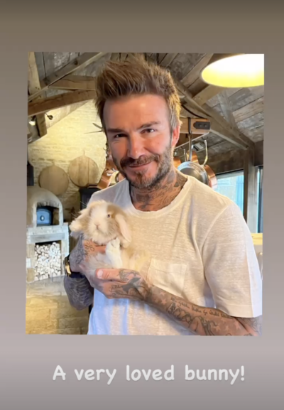 David Beckham and bunny