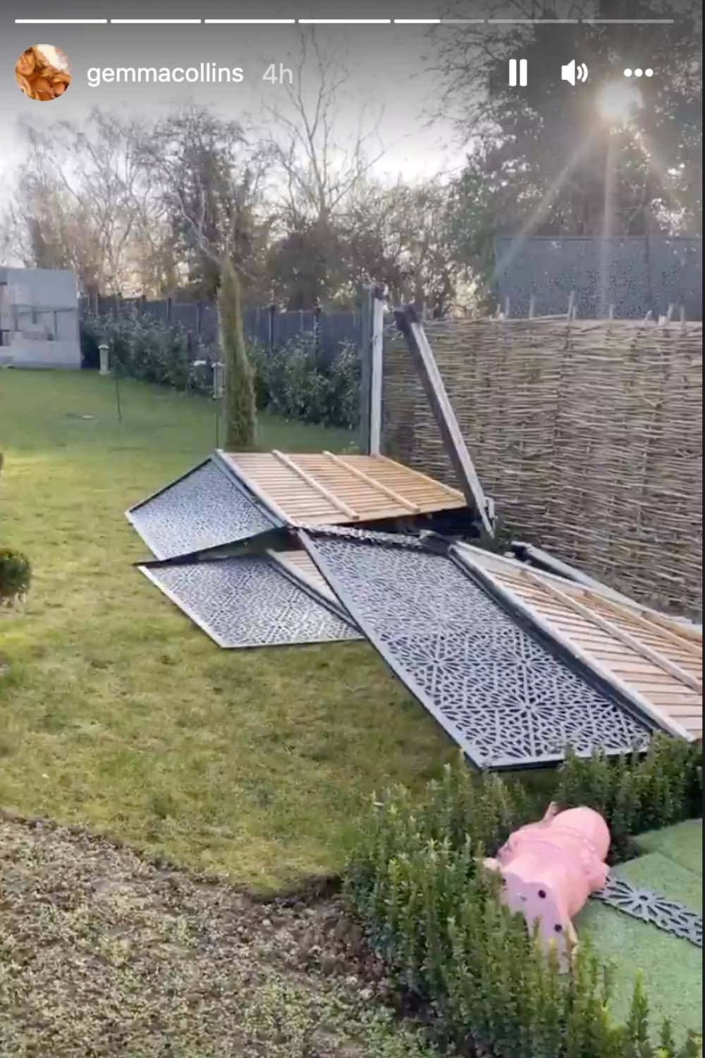 Even the gnomes weren't spared