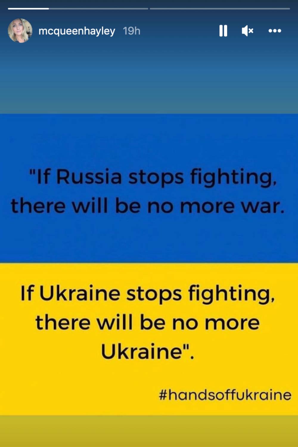 Hayley also posted support on Instagram Stories