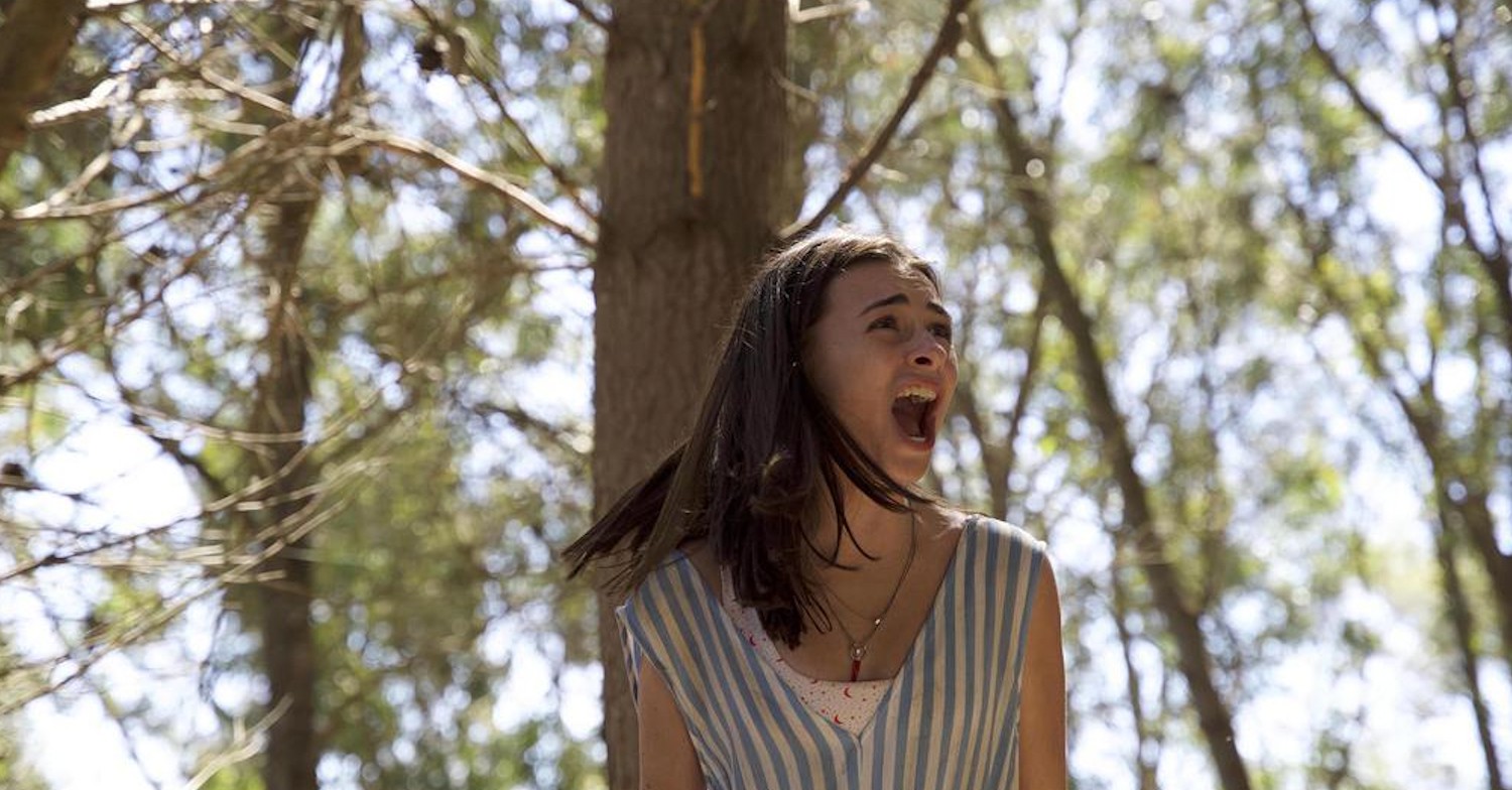 lucy the Holiday channel 5