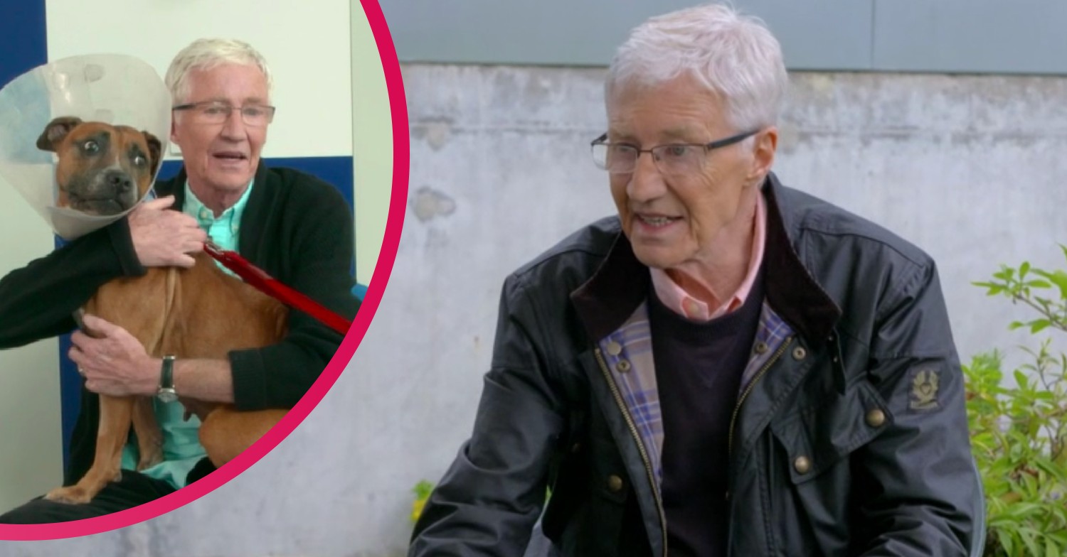 paul o'grady on for the love of dogs