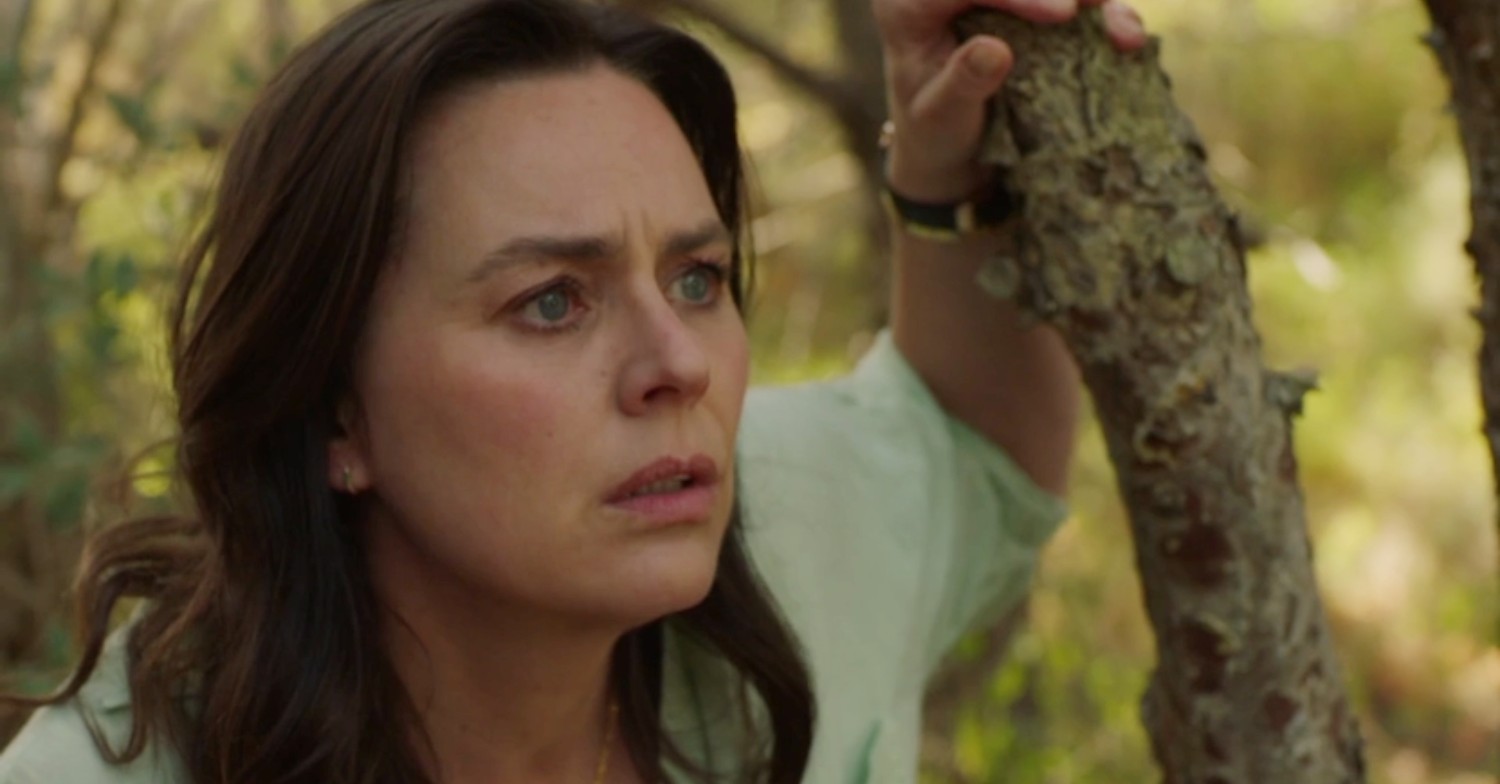 jill halfpenny series the holiday