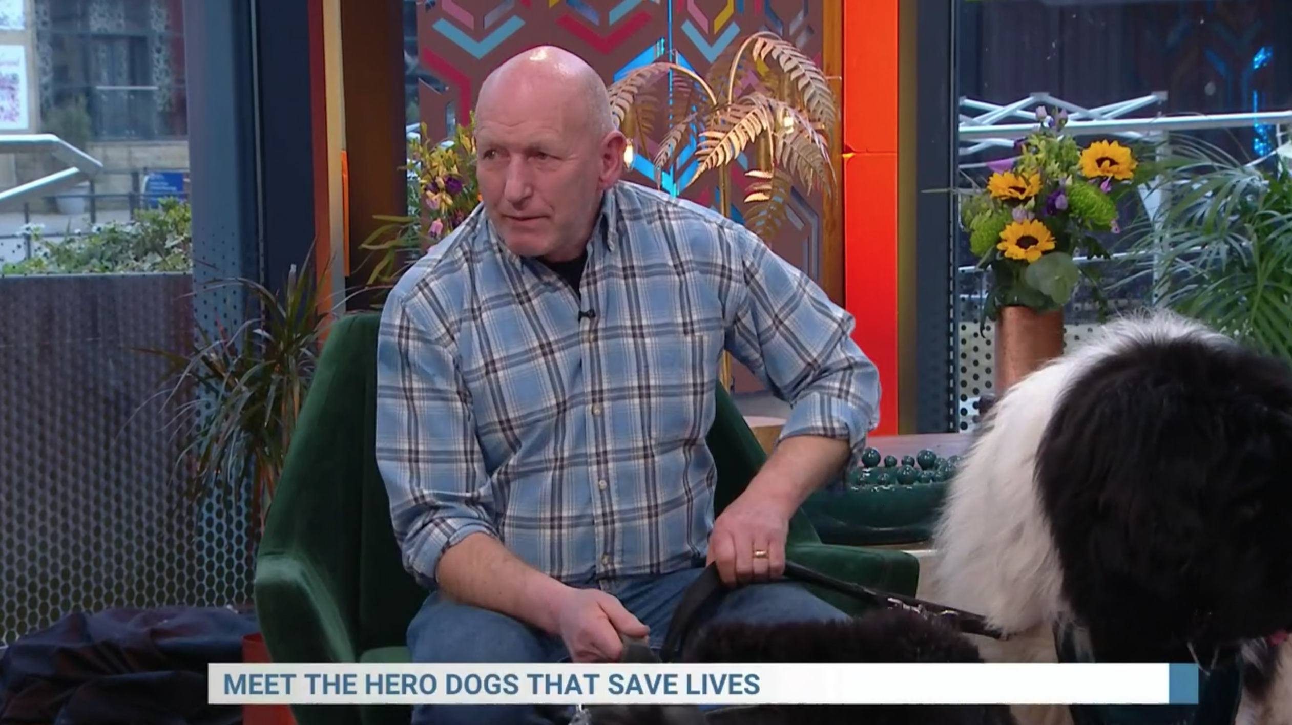 A sad guest on Steph's Packed Lunch