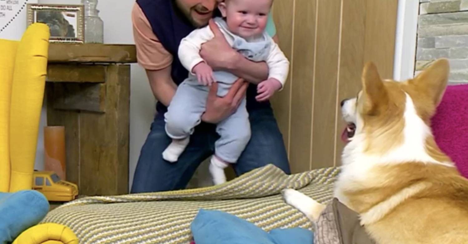 Gogglebox Pete and baby Jimmy with Colin the corgi