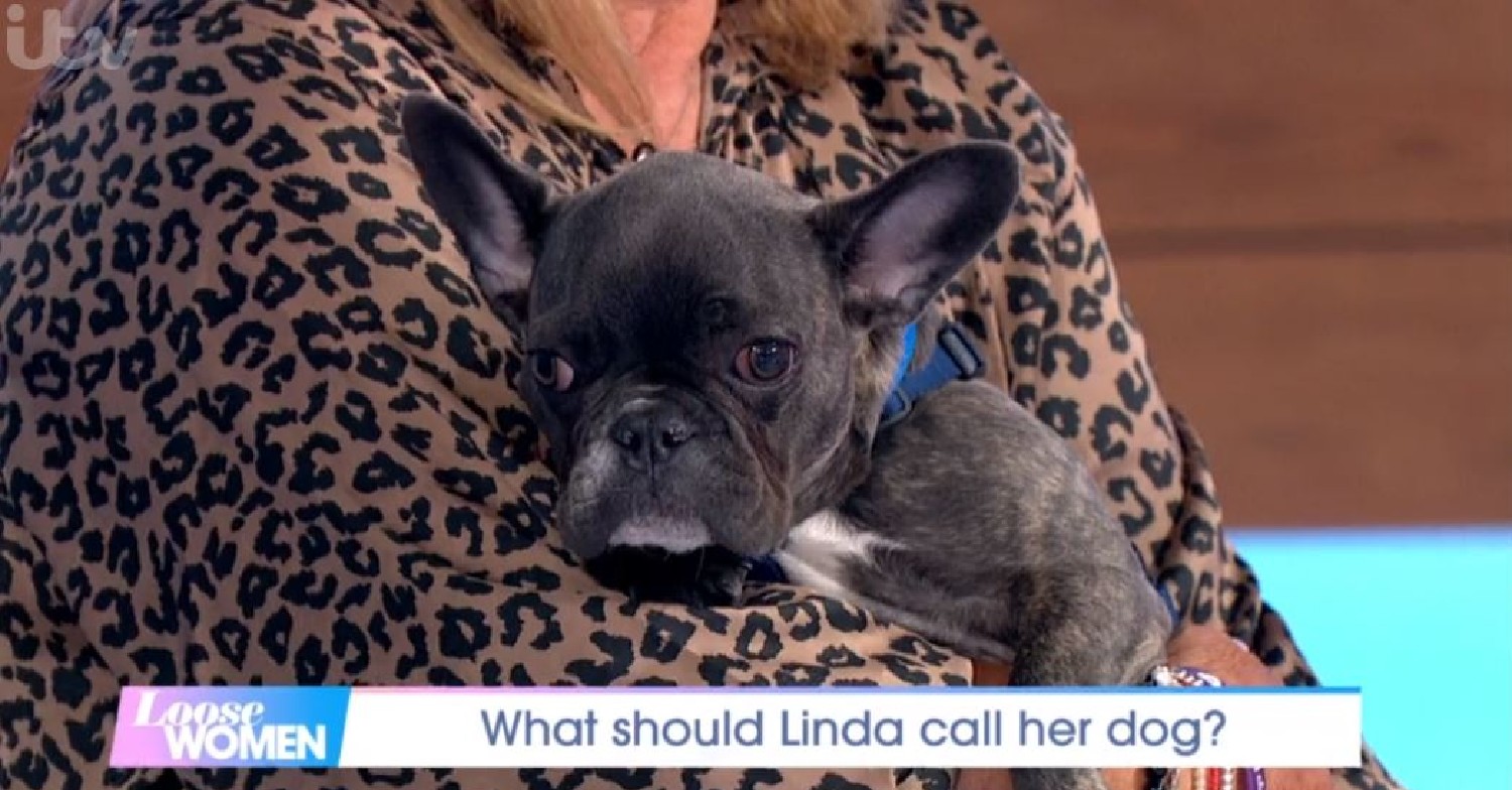 Linda Robson's dog on Loose Women April 29, 2022