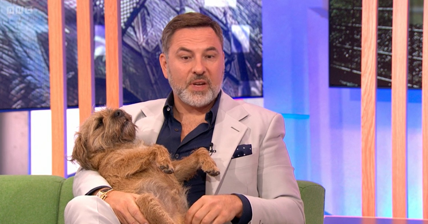 David Walliams cuddling his dog on The One Show May 5, 2022