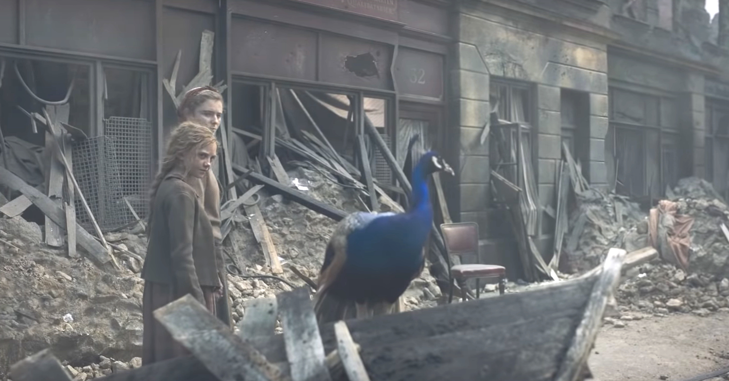 Blitz London's colorful Peacock in Life After Life