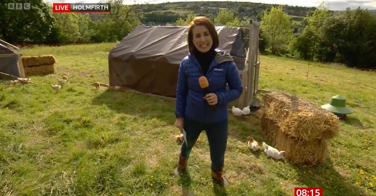 BBC Breakfast presenter Nina Warhurst presenting from a chicken farm today