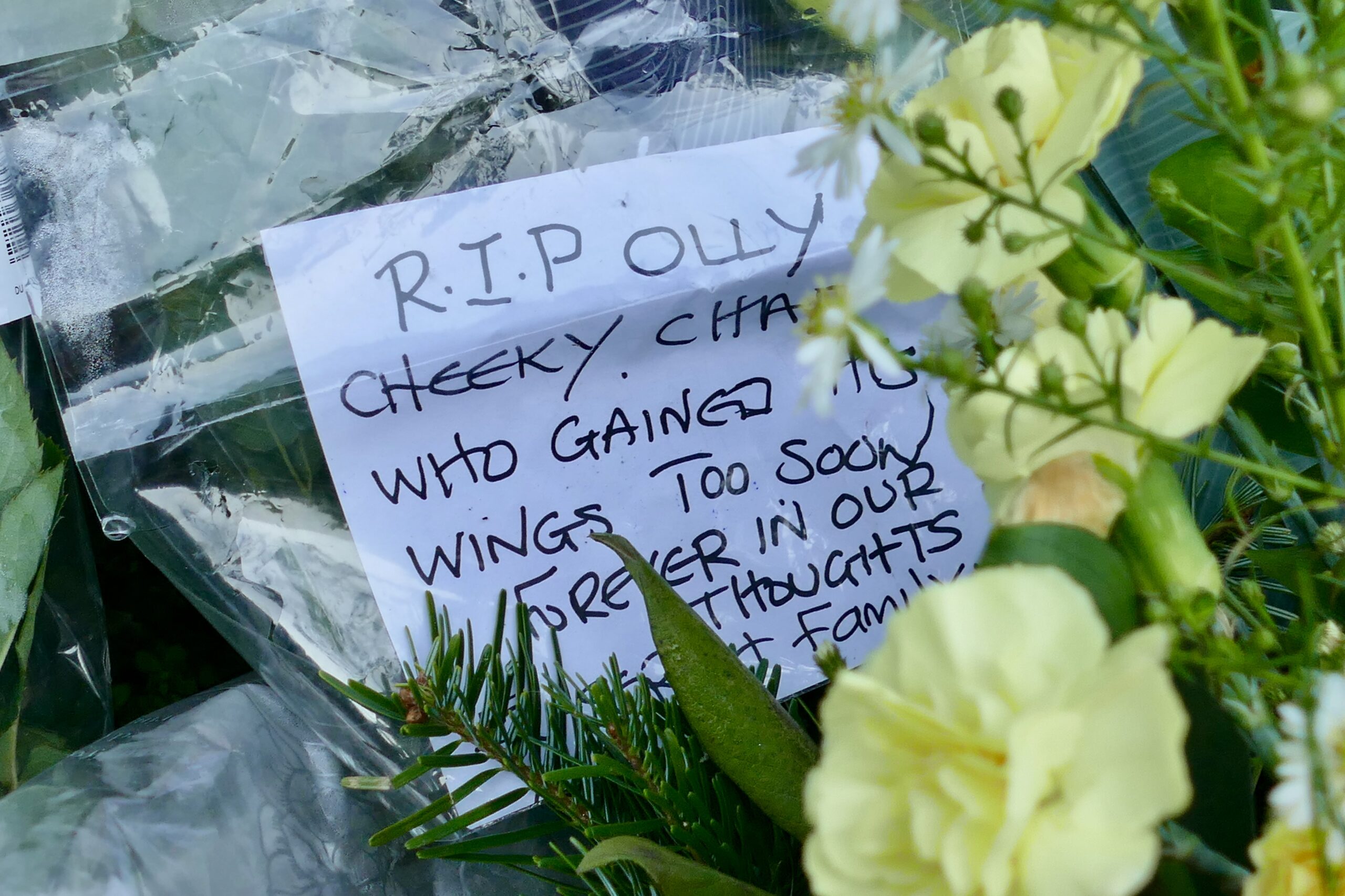 Tributes for Olly Stephens