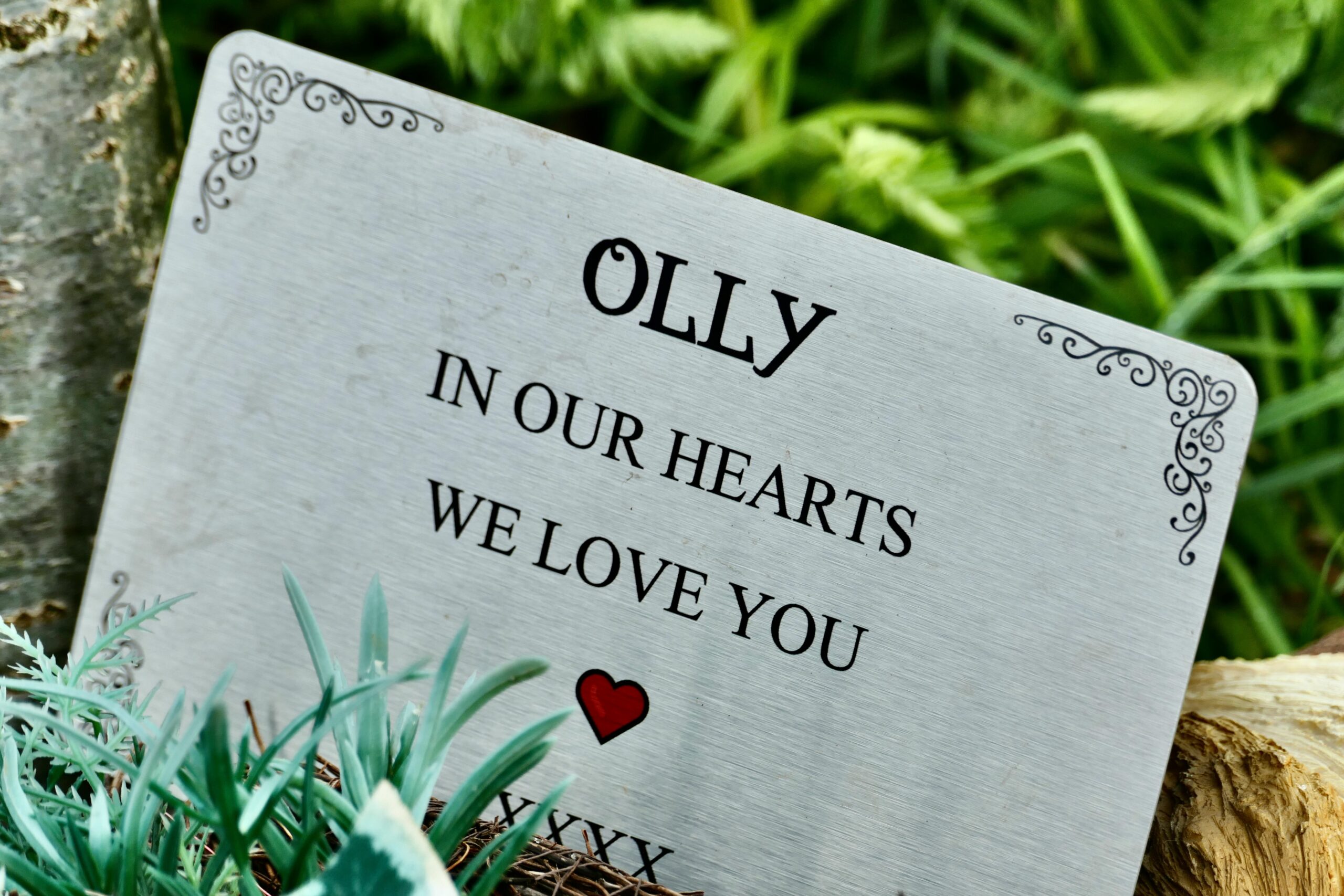 Tributes for Olly Stephens