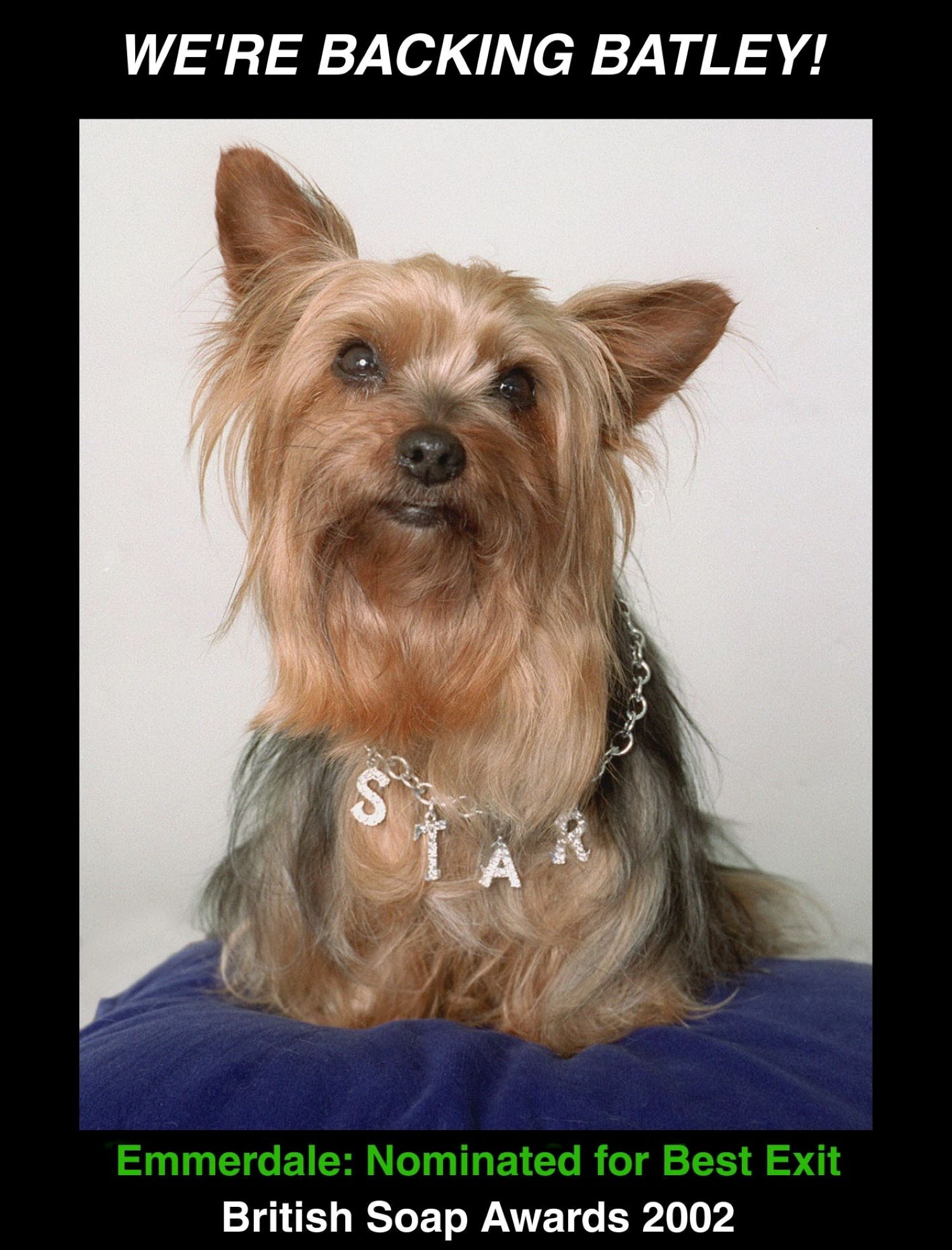 Batley the dog nominated for a British Soap Award