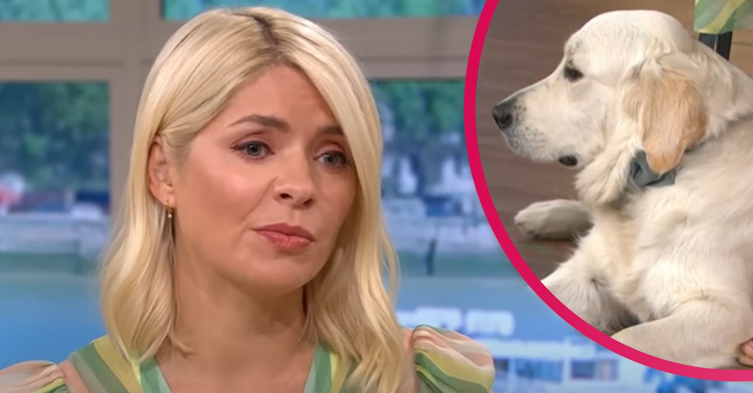 Holly Willoughby and her dog Bailey on This Morning today