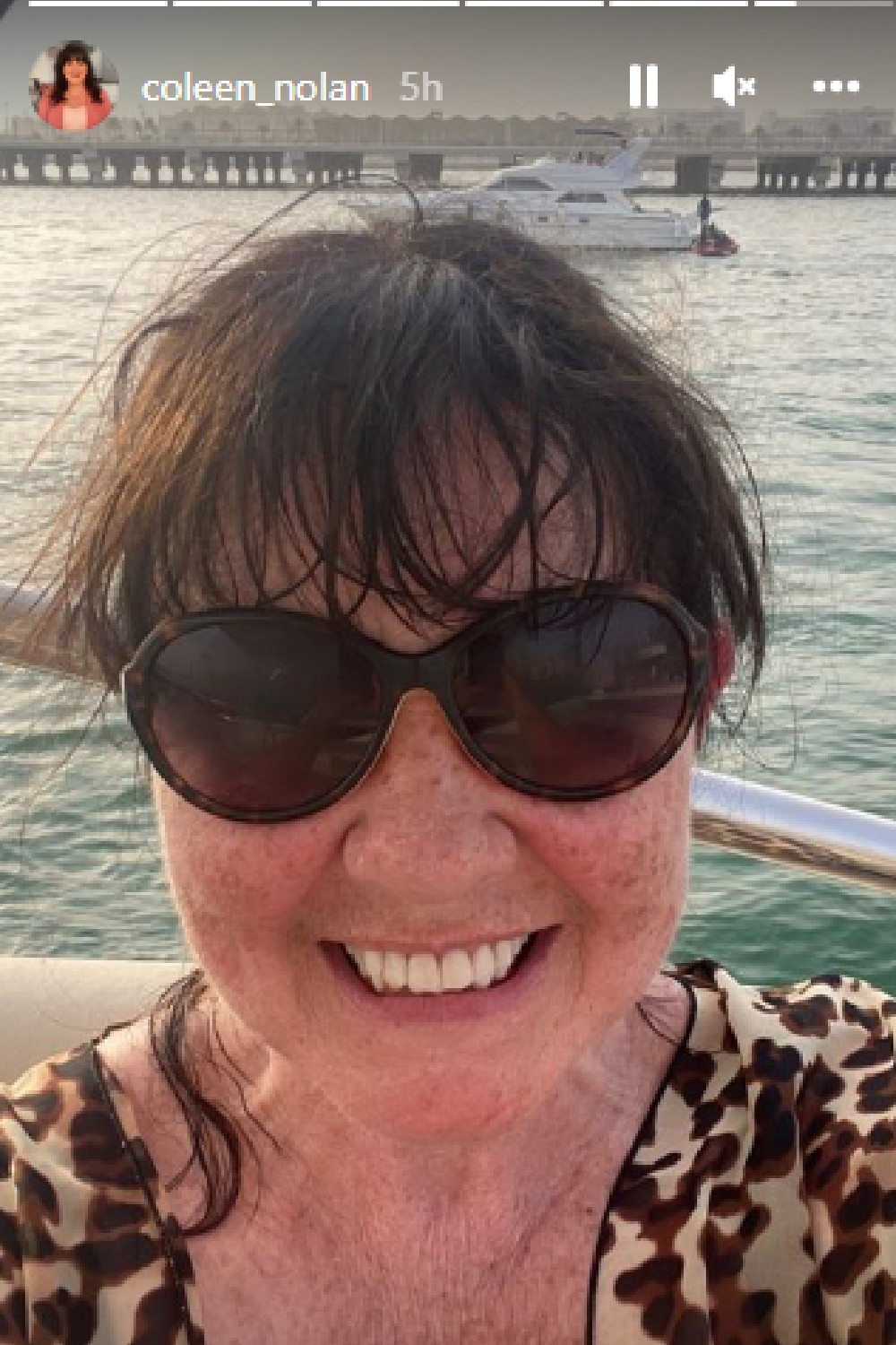 Coleen Nolan smiling in animal print outfit and sunglasses on Instagram Stories