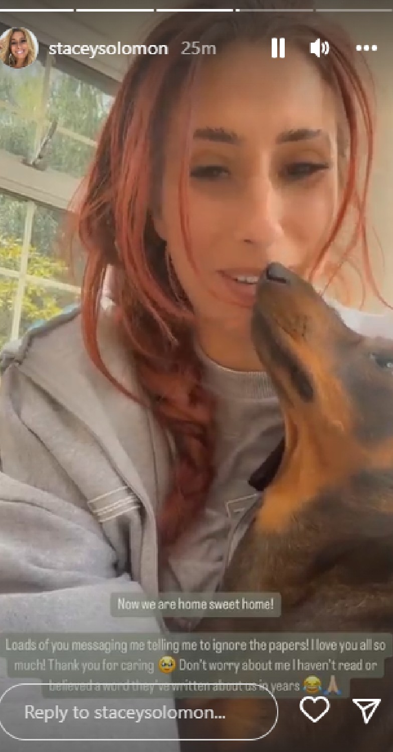 Stacey Solomon with her pet dog on Instagram Stories