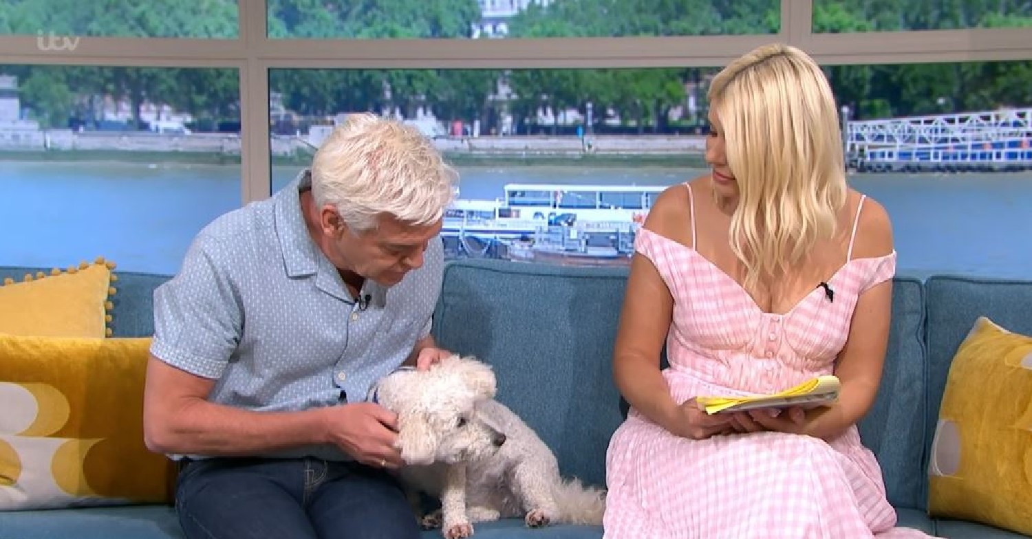Phillip Schofield cuddles dog on This Morning as Holly Willoughby looks on