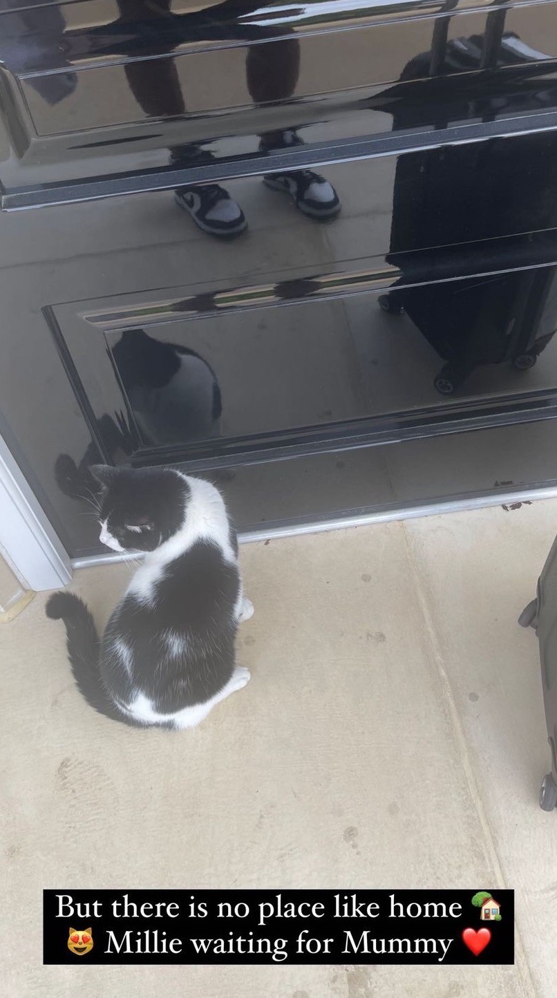 Christine McGuinness' cat