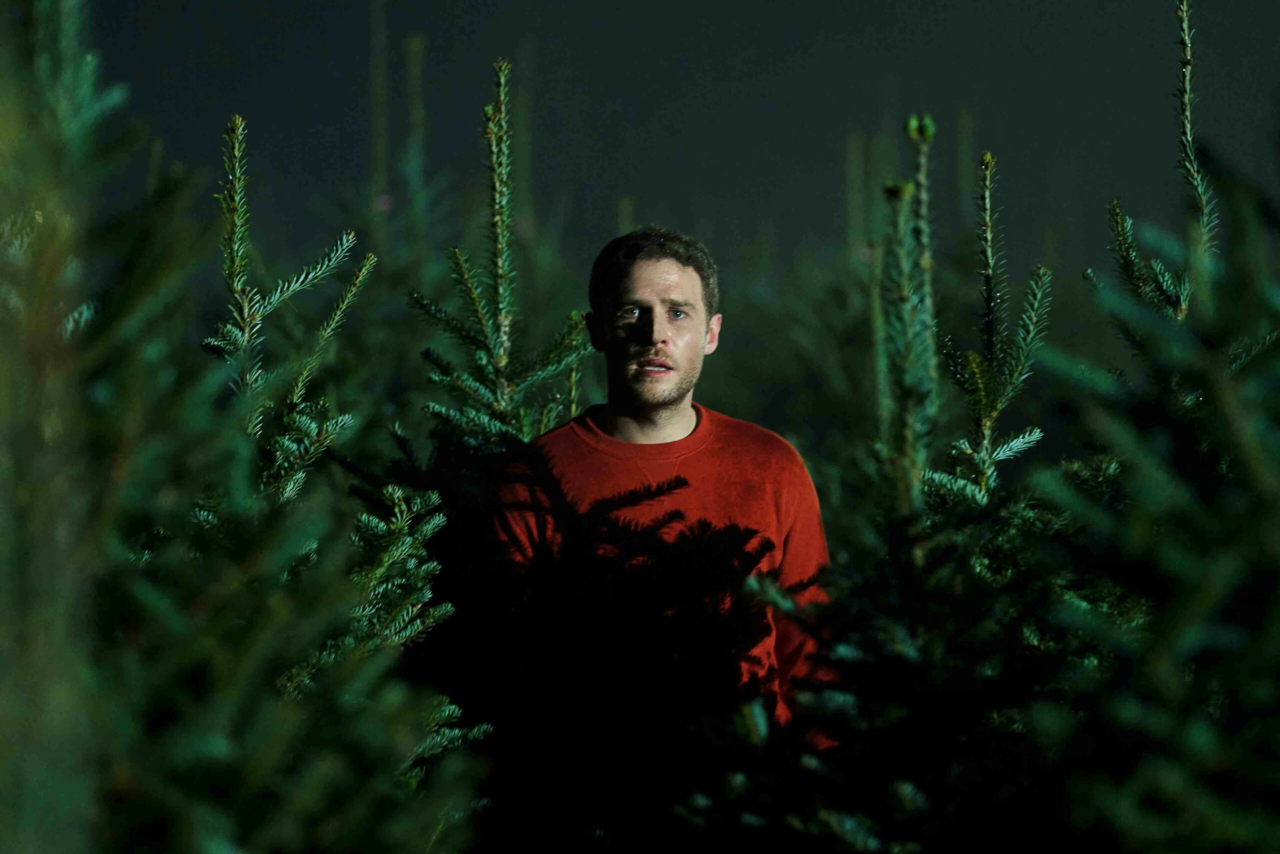 Gabe in the Christmas tree farm