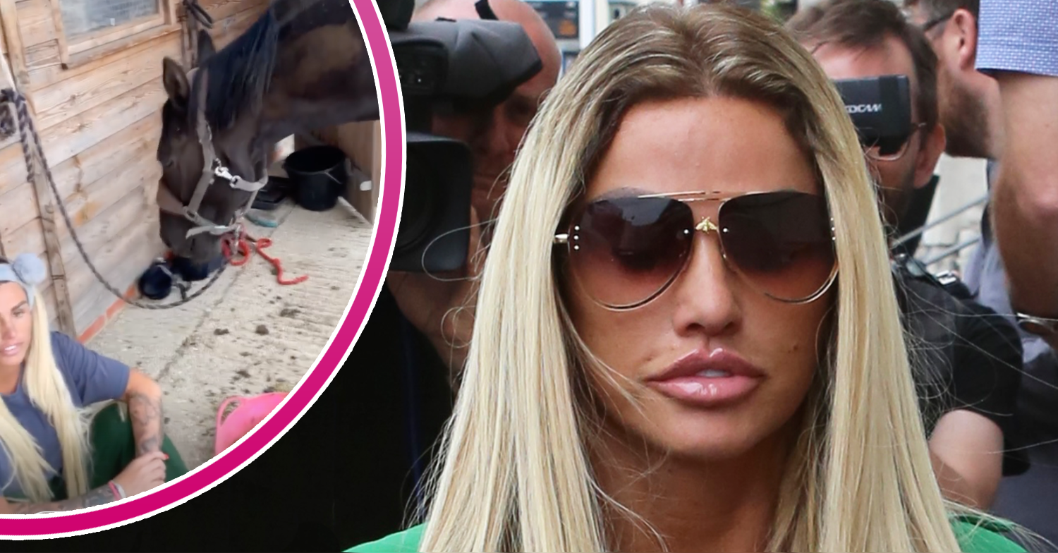 Katie Price in sunglasses and with her horse