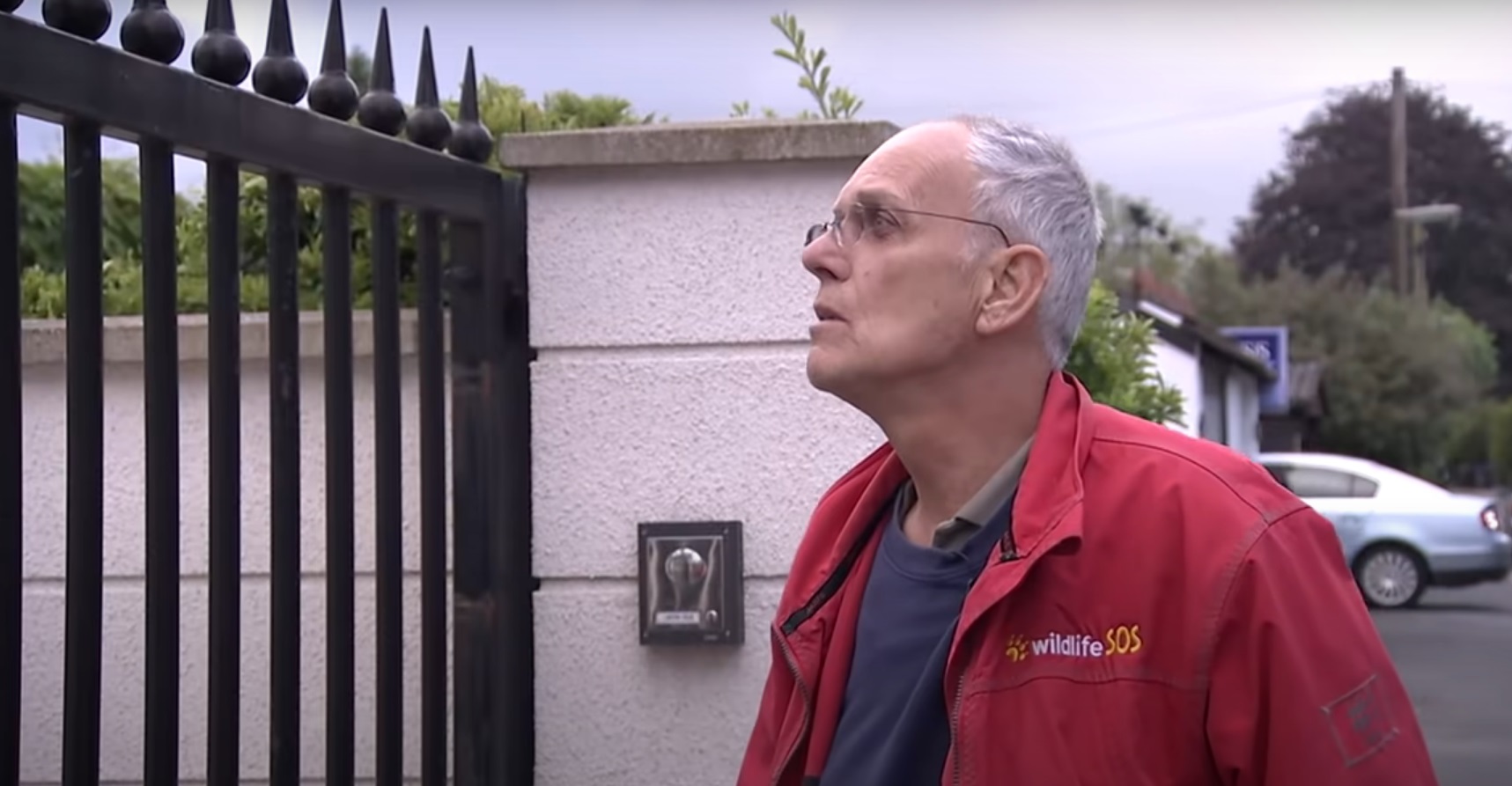 Simon Cowell from Wildlife SOS