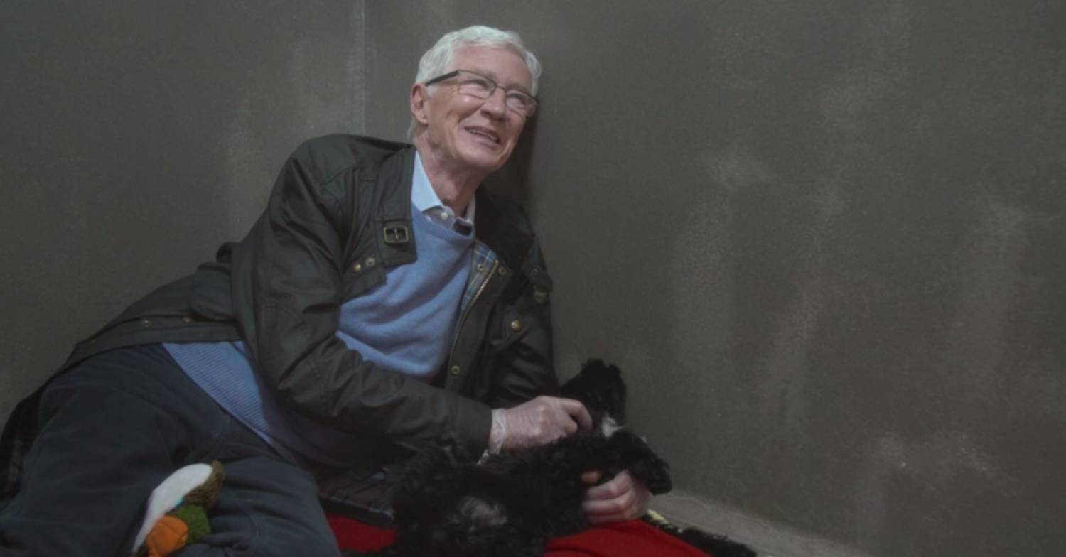 Paul O'Grady tickles a dog's belly