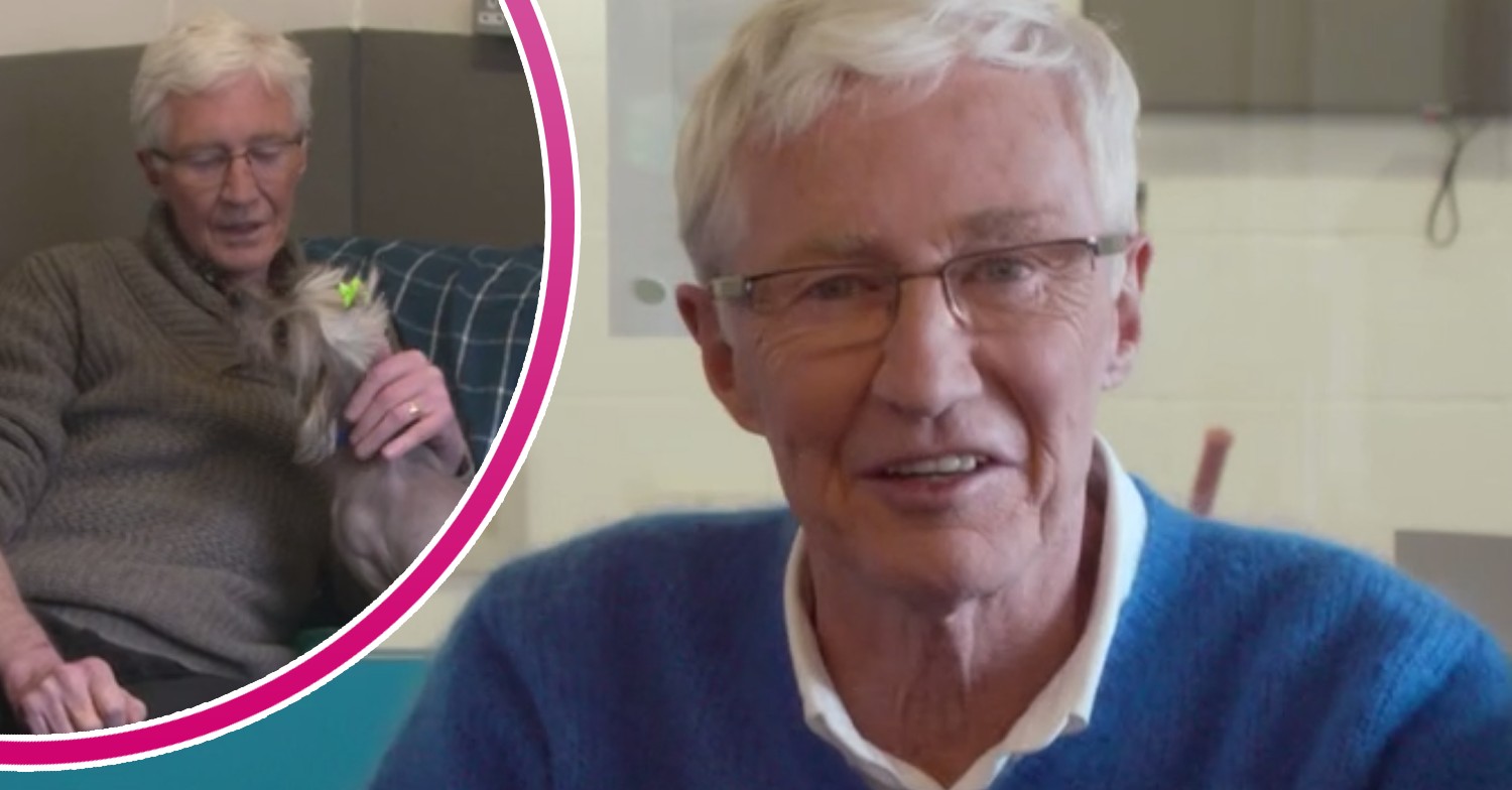 Paul O'Grady pets a pooch on For the Love of Dogs
