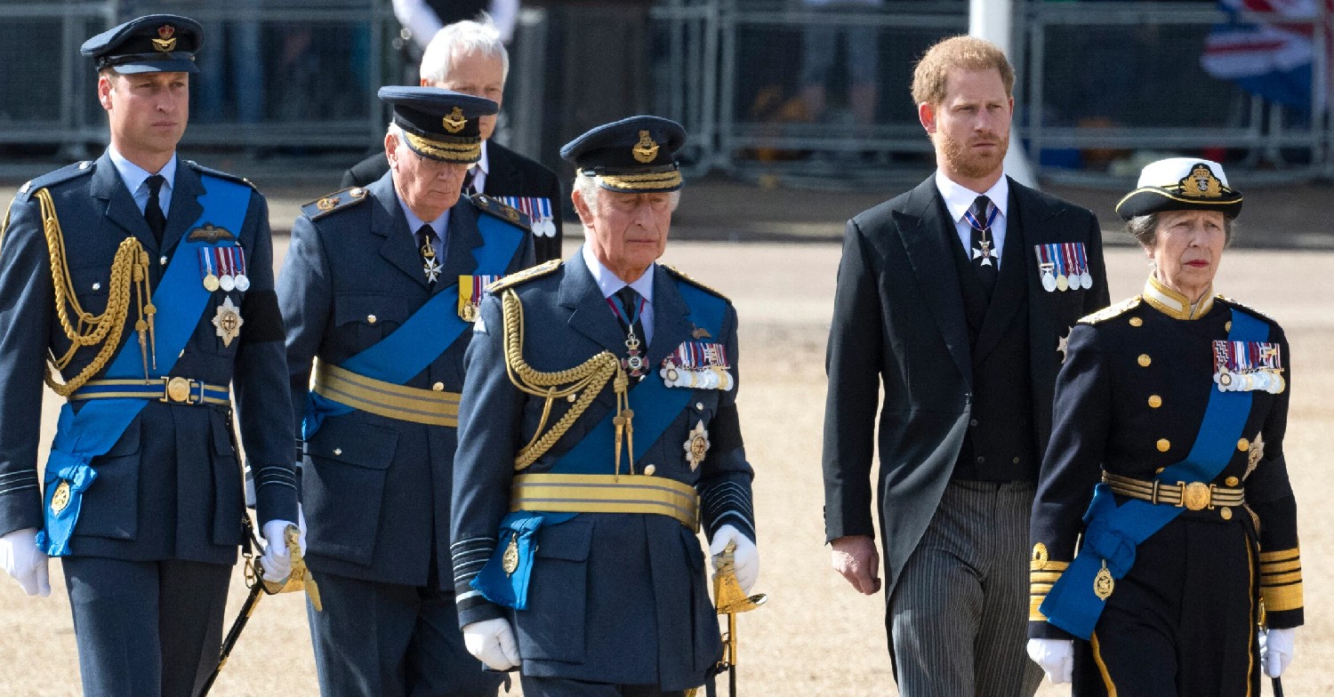 Prince William, Prince Harry, King Charles, Princess Anne looking sombre in procession