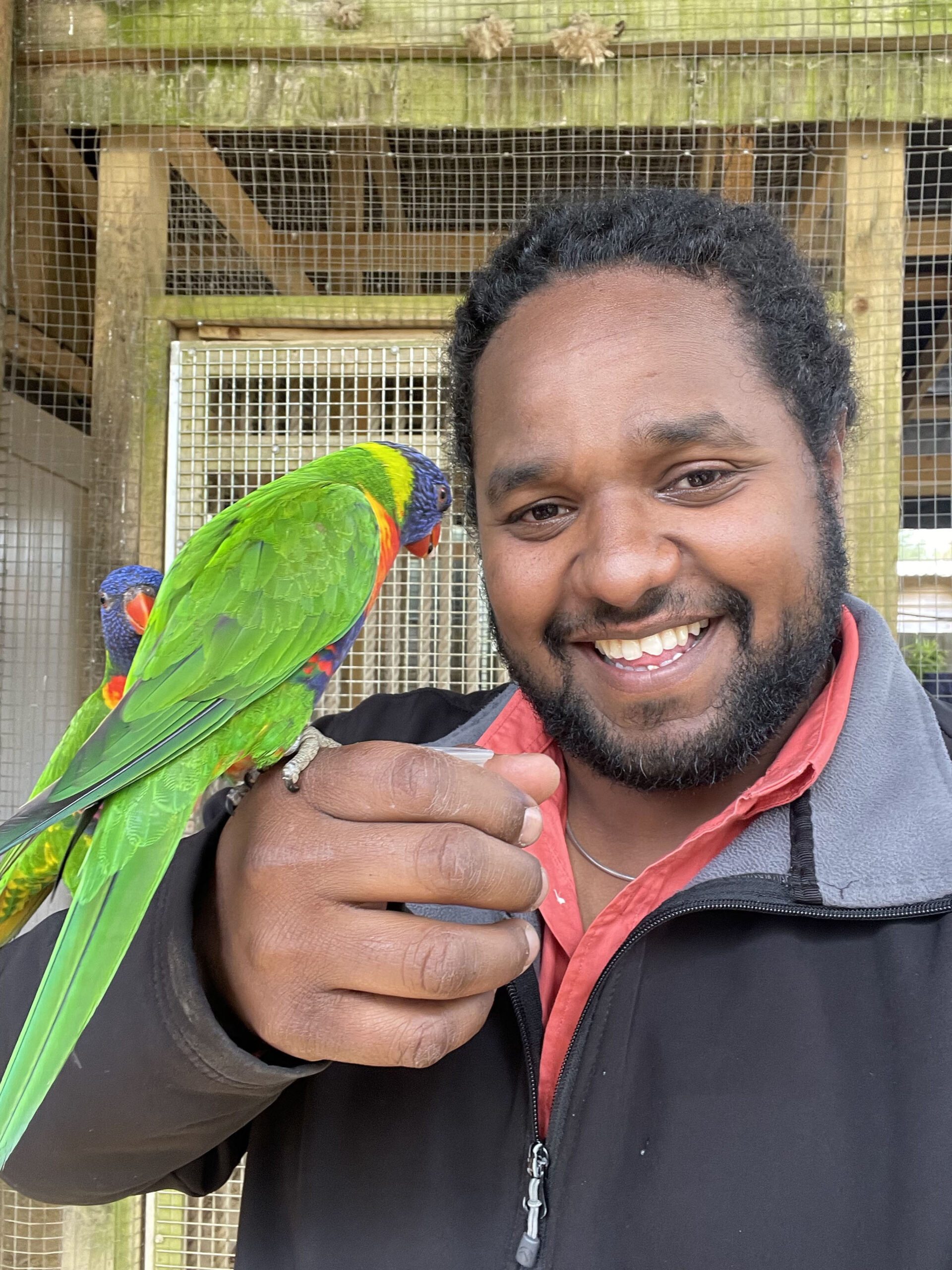 Hamza tolds a rainbow lorikeet on Animal Park