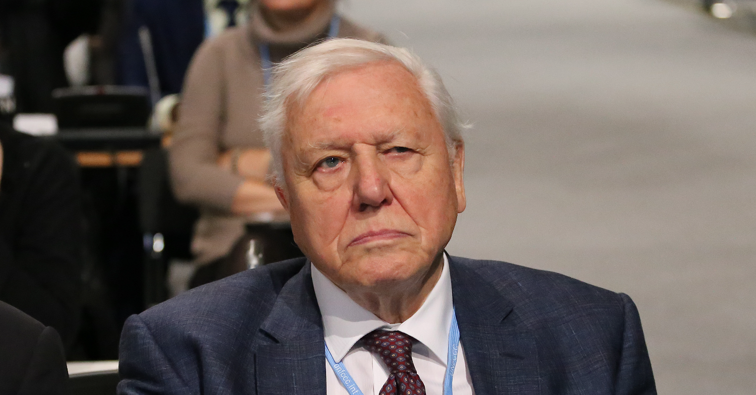 David Attenborough sitting down