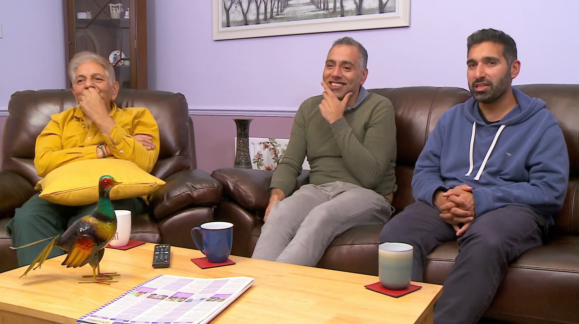 The Siddiquis Gogglebox