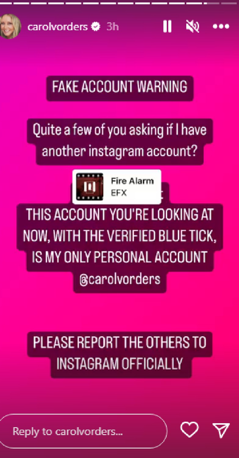 Carol Vorderman issues warning on Instagram Stories