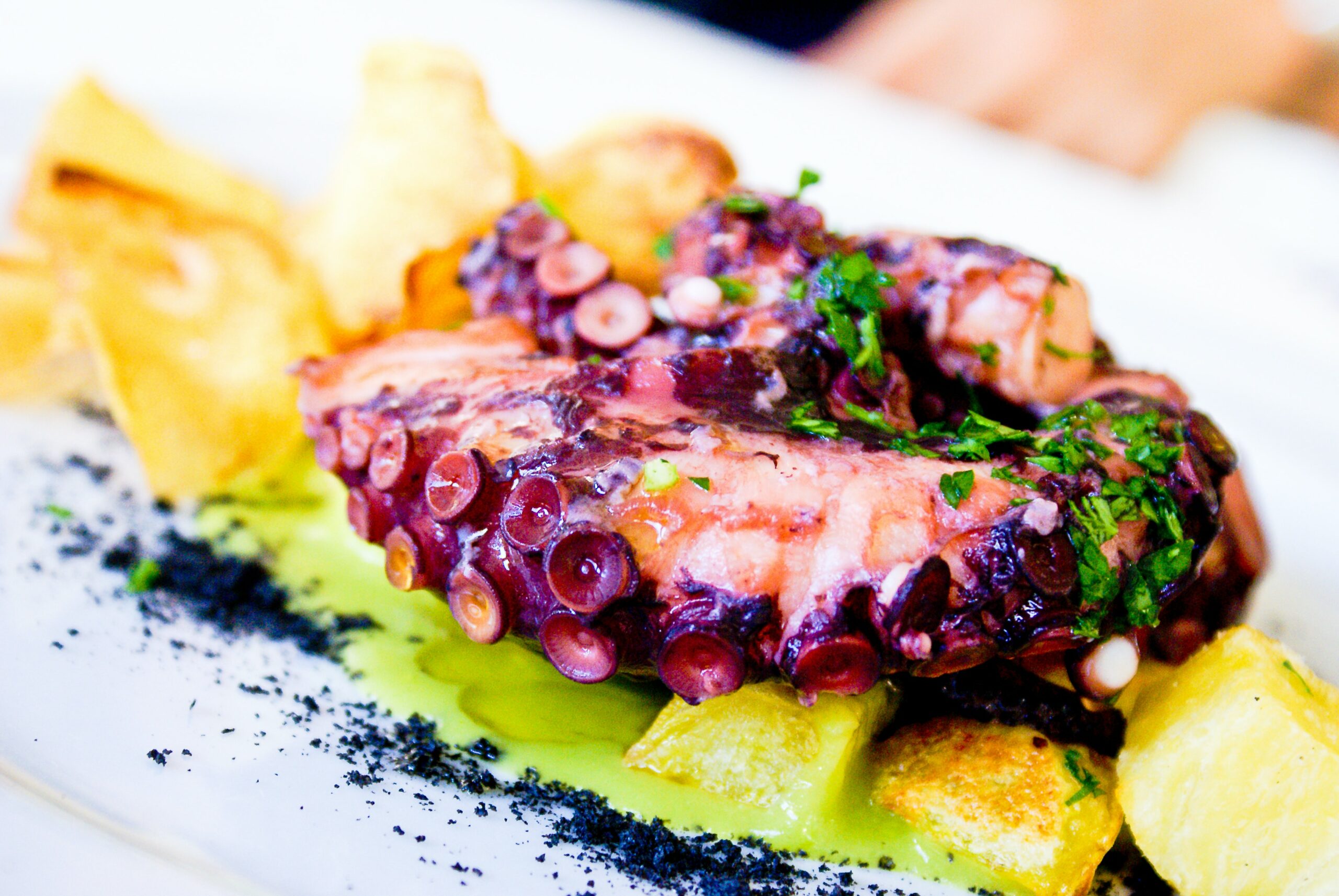 Octopus meal on a plate