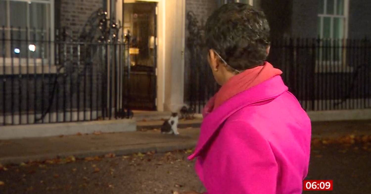 Breakfast host Naga Munchetty turns around to look at Larry the cat