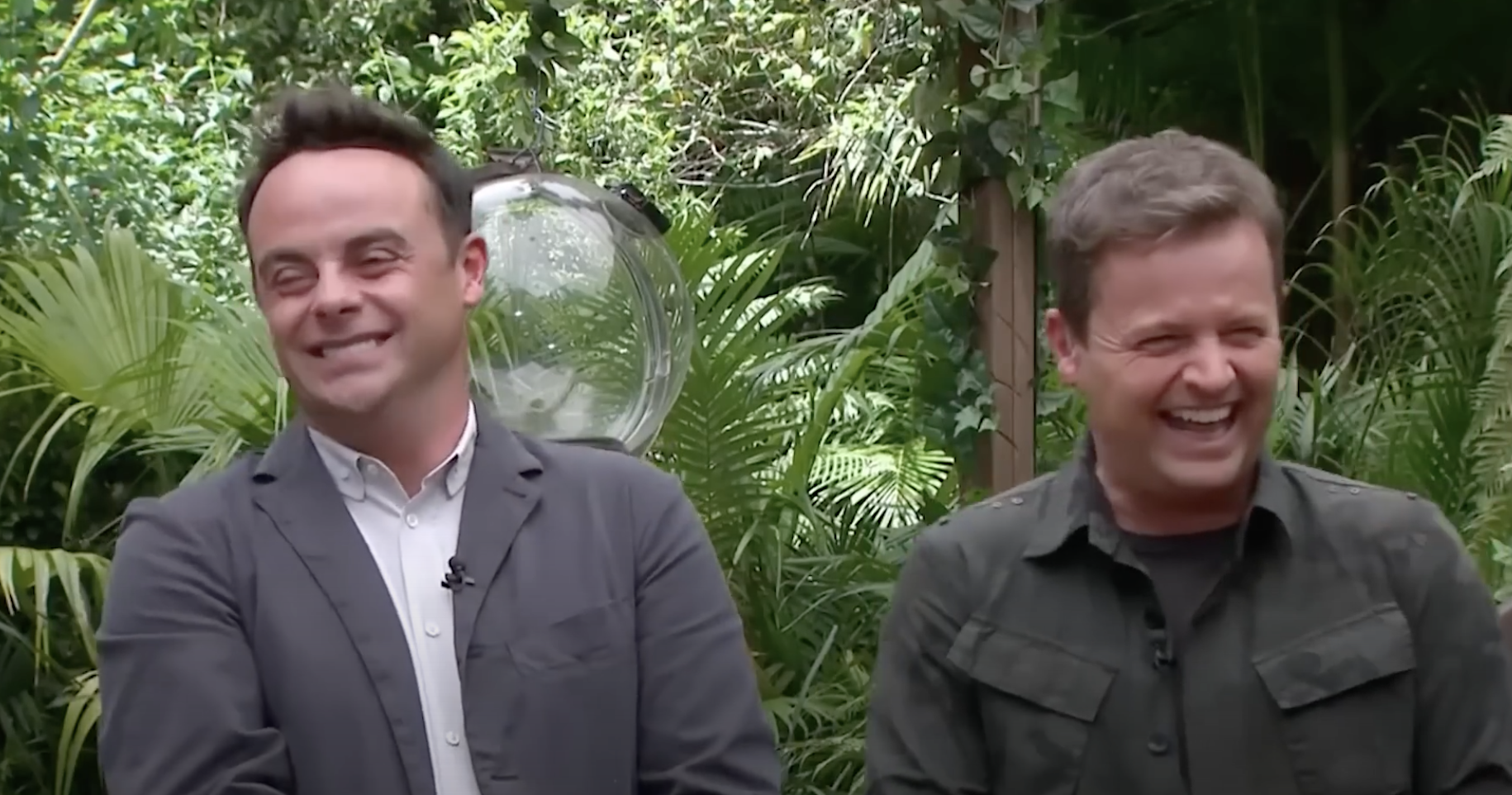 Ant and Dec laughing on I'm A Celebrity