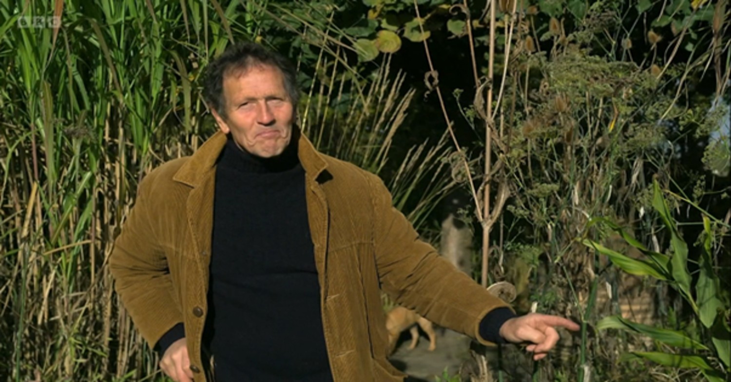 Monty Don looking at the camera on Gardeners' World