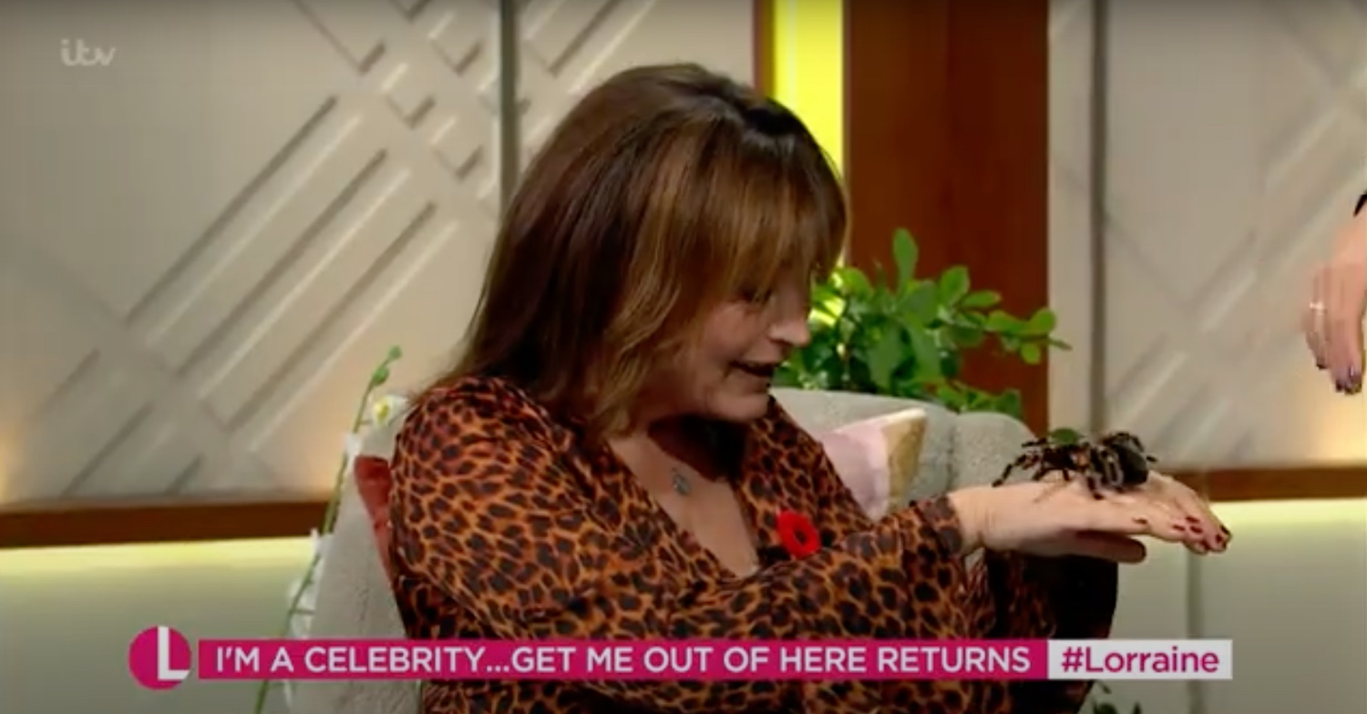 Lorraine Kelly and the spider on her show today