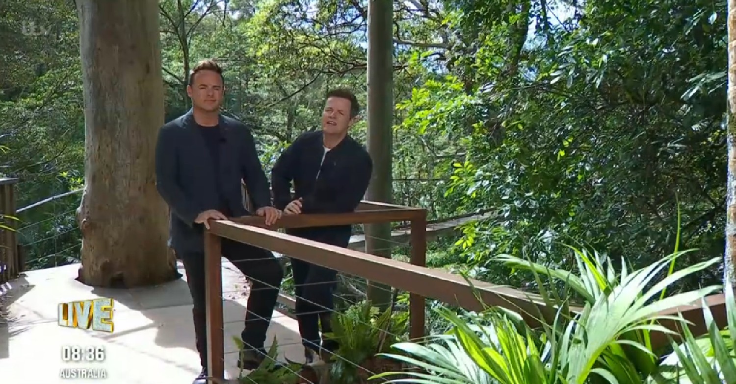 Ant and Dec in the jungle on I'm A Celebrity 2022