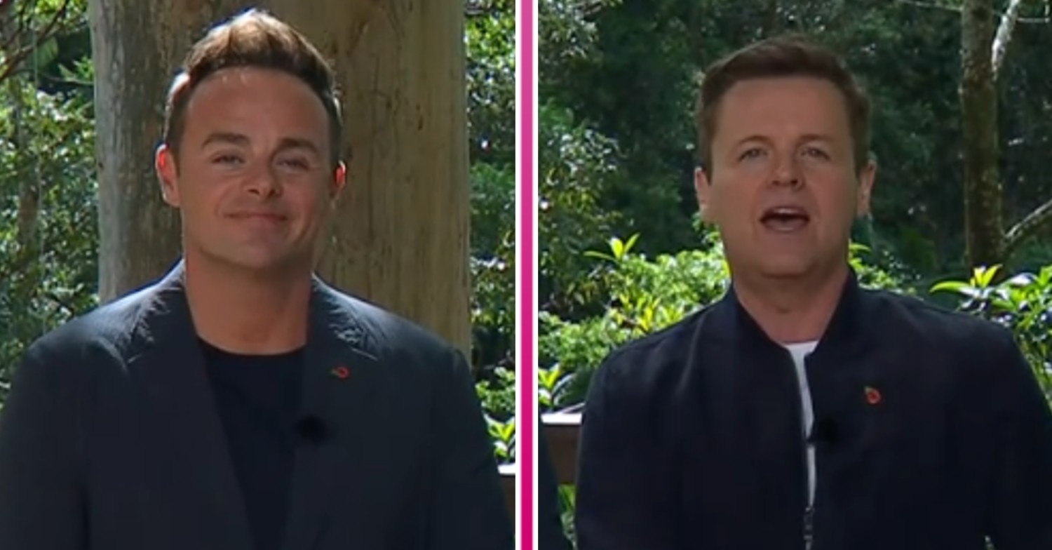 Ant and Dec in the jungle on I'm A Celebrity 2022