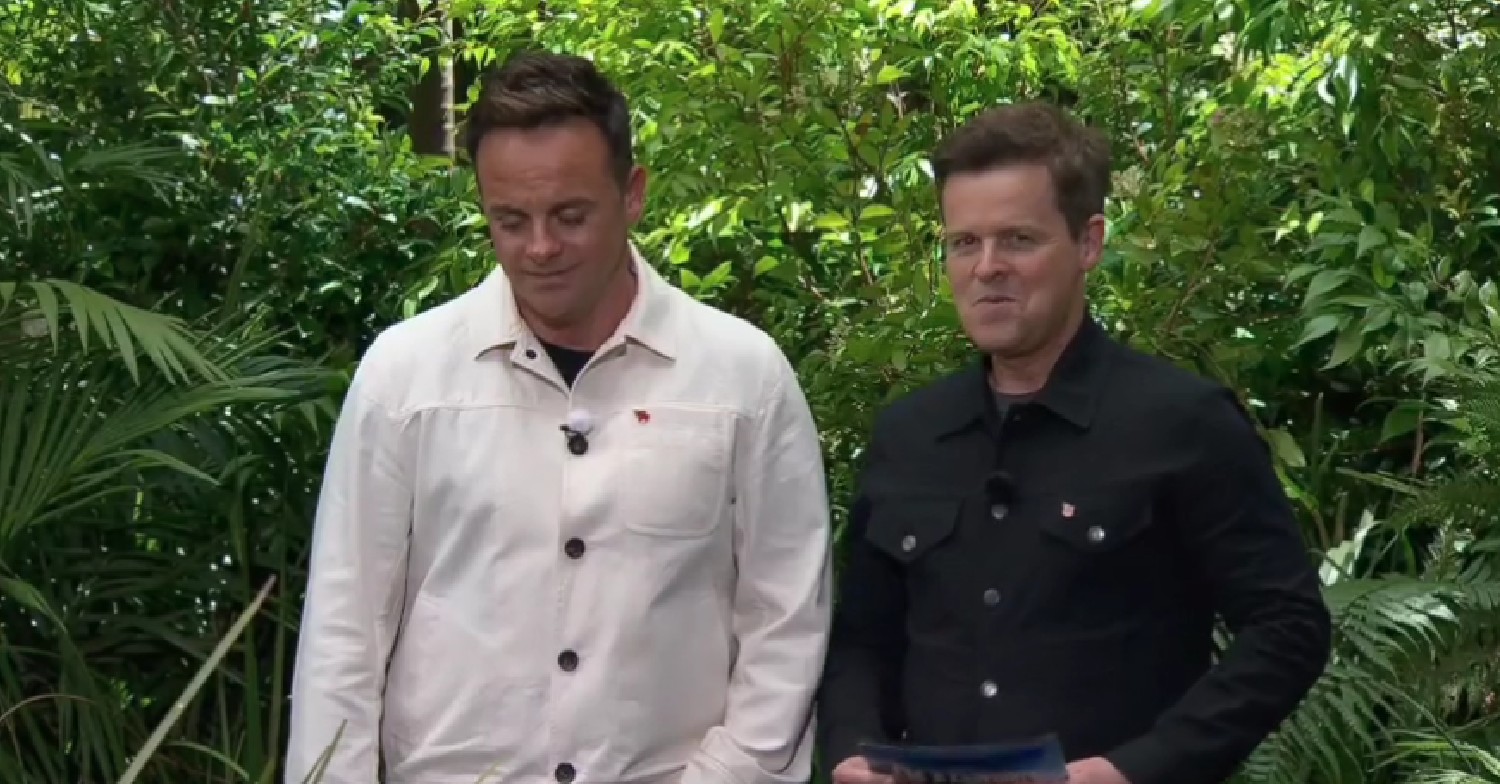 Ant and Dec laughing during I'm A Celebrity trial