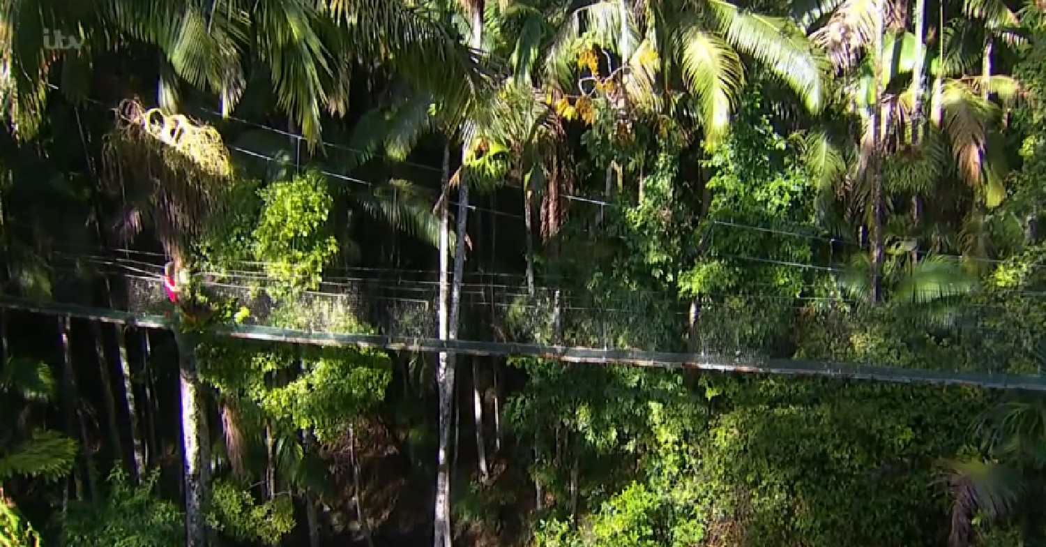Matt Hancock trips on bridge on I'm A Celeb