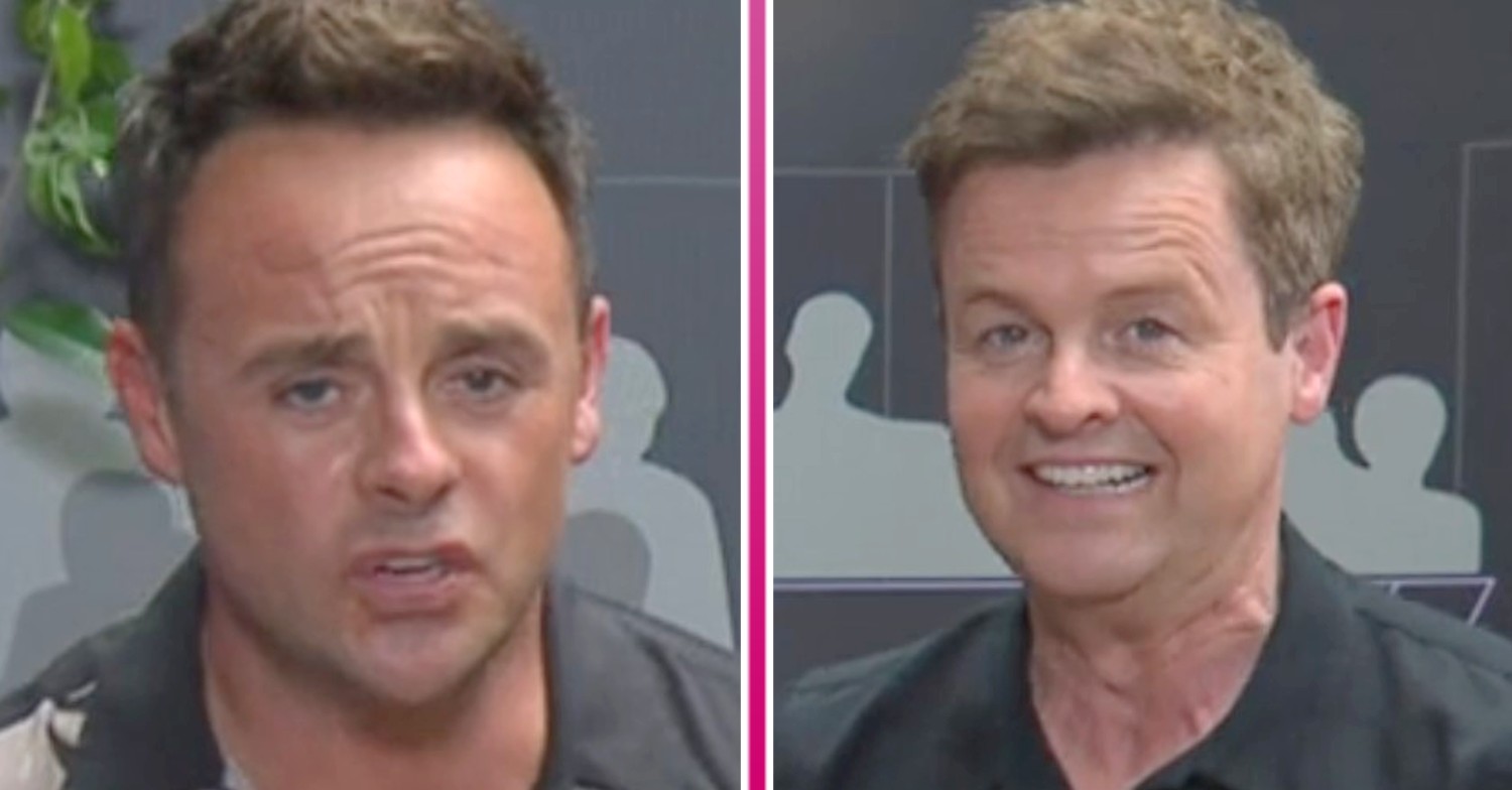 I'm A Celebrity hosts Ant and Dec pull funny faces during the trial