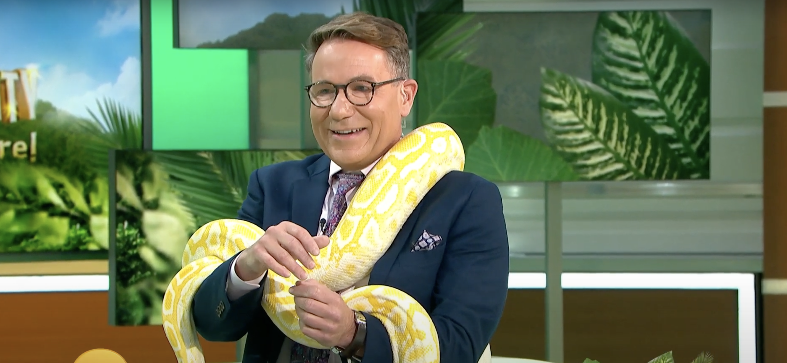 Richard Arnold holding a snake on Good Morning Britain