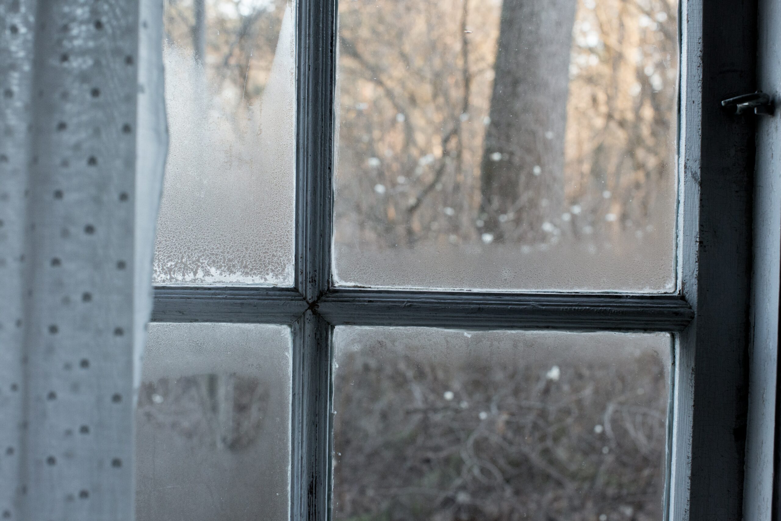 Condensation on a windowpane