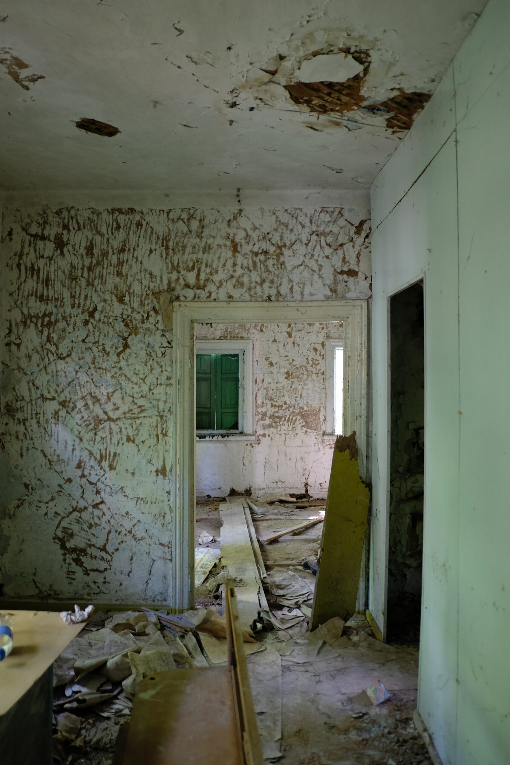 Mould in a decrepit home