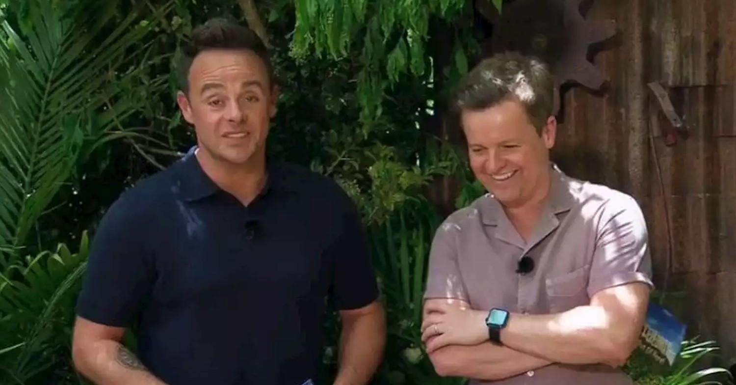 Ant an Dec on I'm A Celeb in the jungle