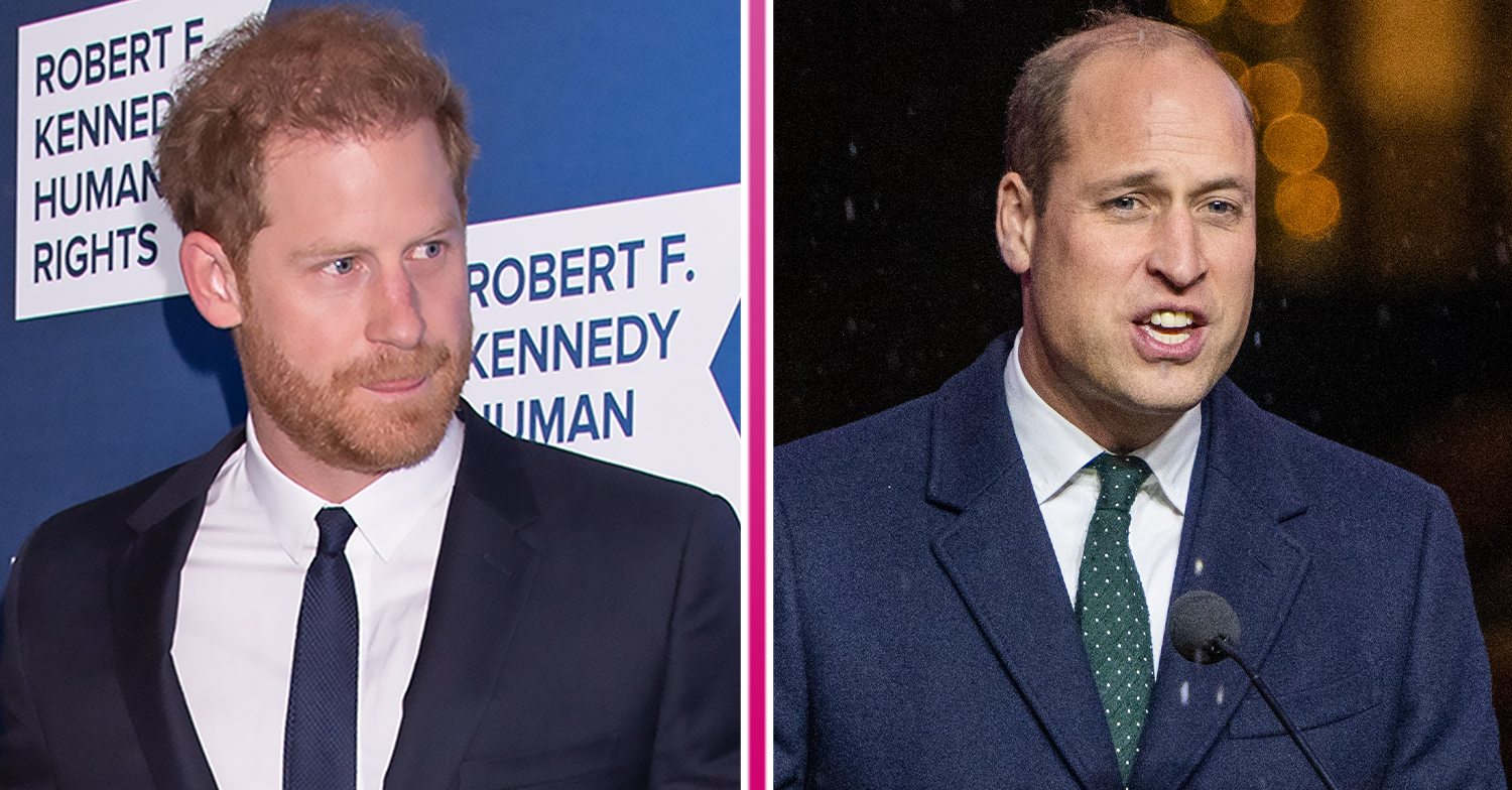 William and Harry Brothers nicknames for each other revealed